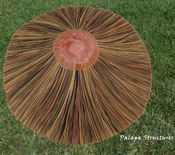 Reed Thatch Top Cone